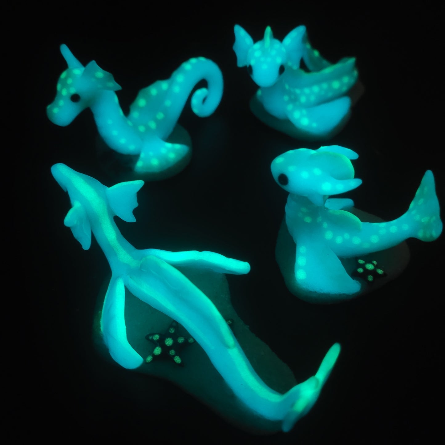 Glowing Sea Dragons